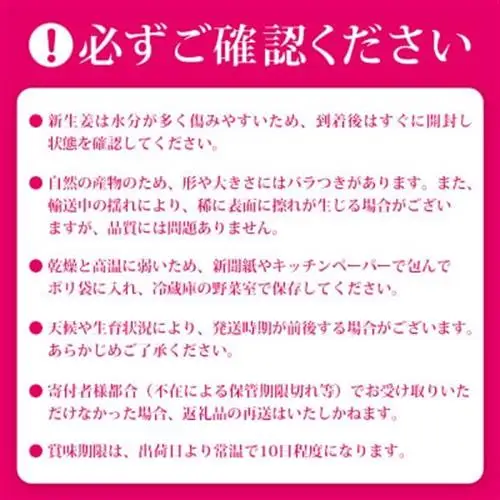 【先行受付】枕崎産 新生姜 約3kg(国産・農家直送)【2026年9月上旬より順次発送】 A3-38【配送不可地域：離島】【1739865】