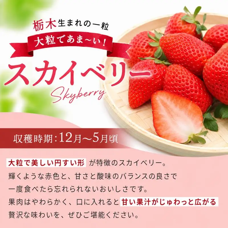 【定期便3回】訳あり 粒不揃い スカイベリー 1,120g (280g×4P)  | 栃木県 矢板市 澳原いちご農園