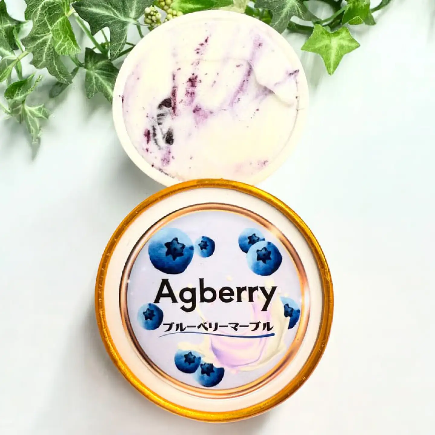 冷凍ブルーベリーアイス(ブルーベリーミルク、マーブル 各5個) 計10個セット / アイス あいす 氷菓子 フルーツ ブルーベリー ぶるーべりー マーブル デザート おやつ お菓子 カップ カップアイス 夏 ひんやり 熊本県 冷凍 菊陽町【アグファーム株式会社】[BHCX020]