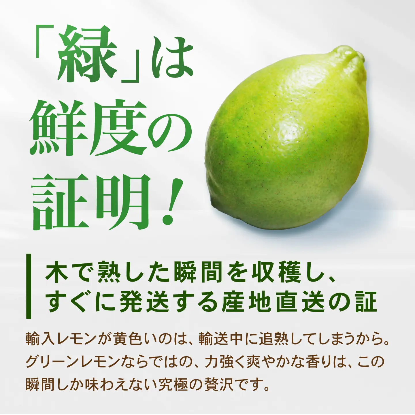 【先行予約 2026年10月〜発送】璃の雫 レモン 約2kg （6個〜8個程度）【道の駅しろいしカンパニー】[IAA043]