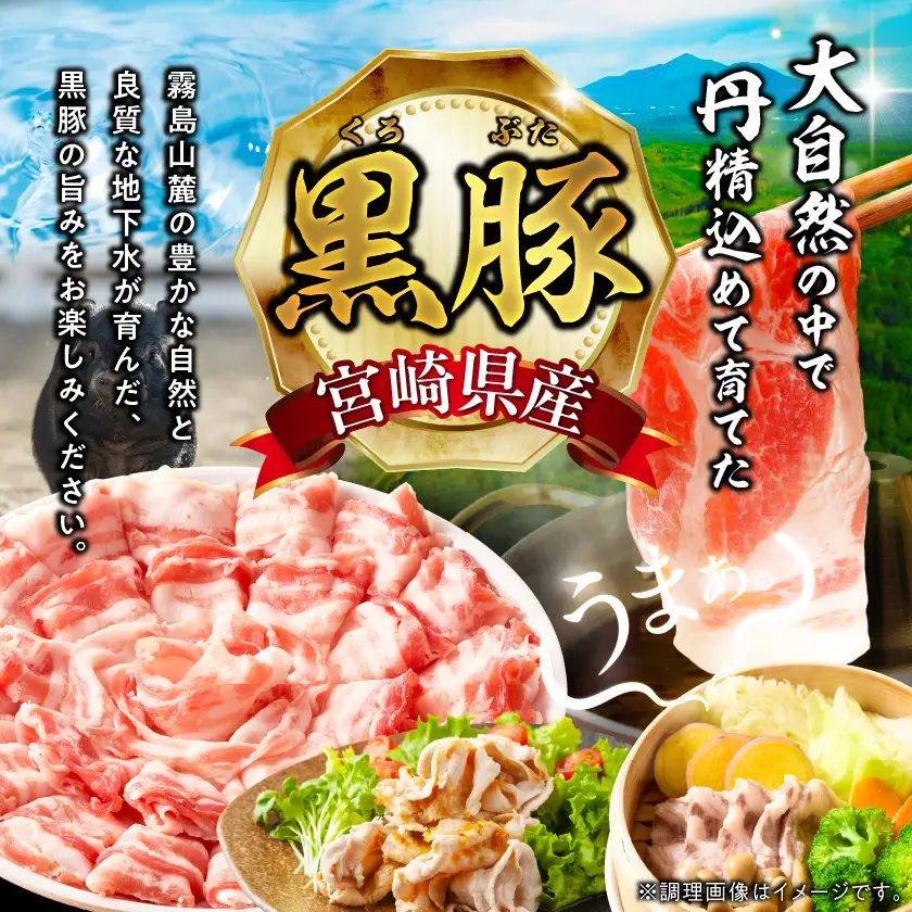 宮崎県産黒豚しゃぶしゃぶ&スライス1.2kgセット〔MJ-M6-004-1200g〕_(都城市)