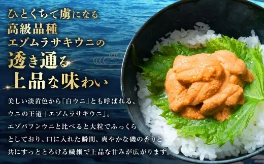 【 特選 】 塩水ウニ 100g （ 北海道産 エゾムラサキウニ ） うに ウニ 雲丹 海鮮 魚介 ウニ丼 うに丼 ミョウバン不使用 海産物 国産 【 2026年6月上旬～9月下旬発送予定 】