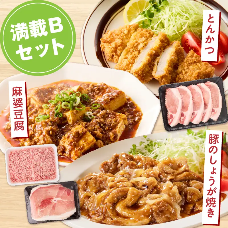 宮崎県産豚4.5kg 満載Bセット