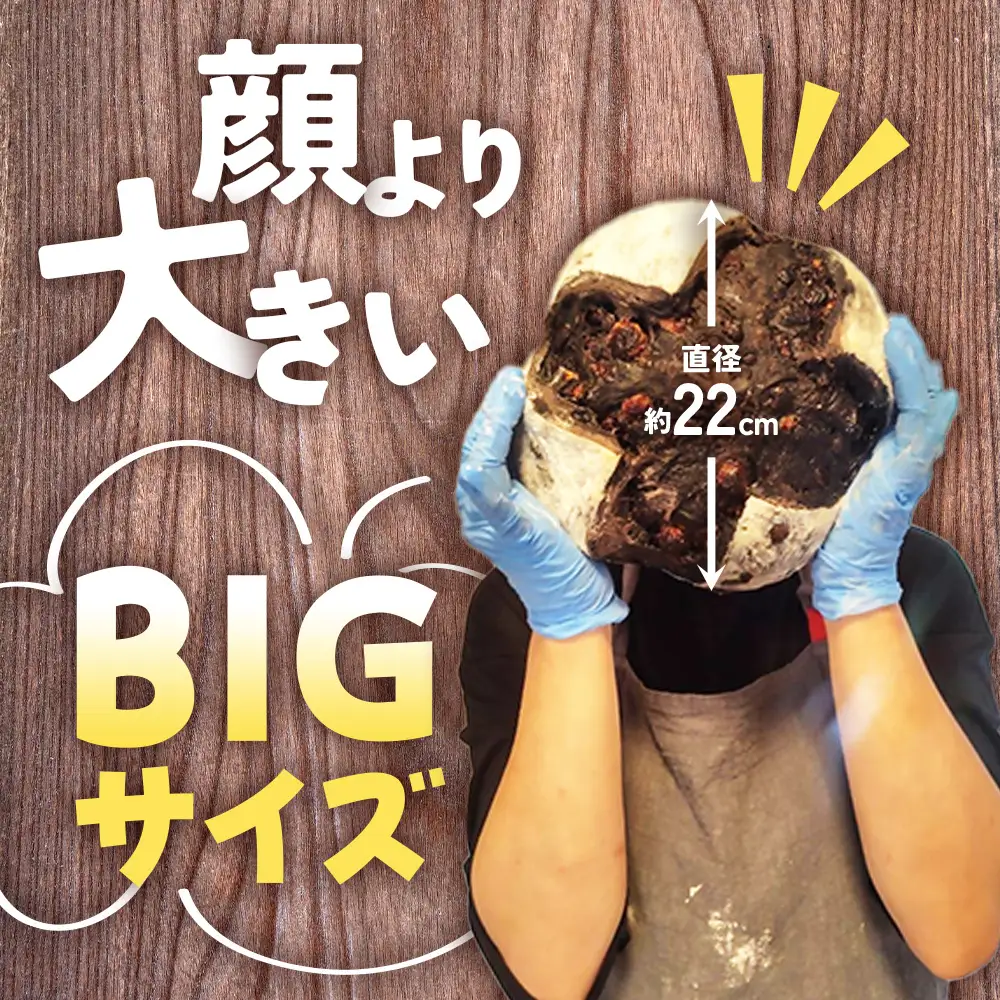 自家製天然酵母を使ったチーズカンパーニュ  | パンパンパンパン
