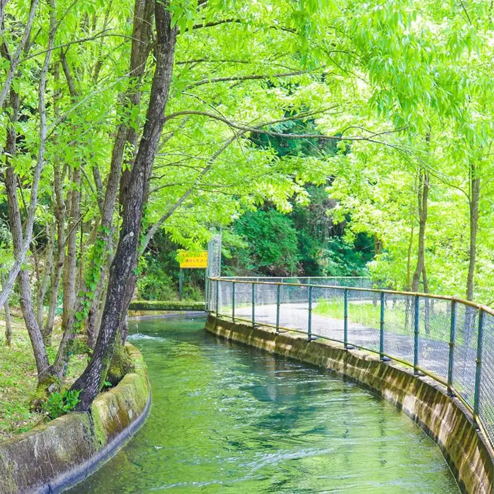 谷川流足圧～全身踏みほぐし～　90分コース マッサージ