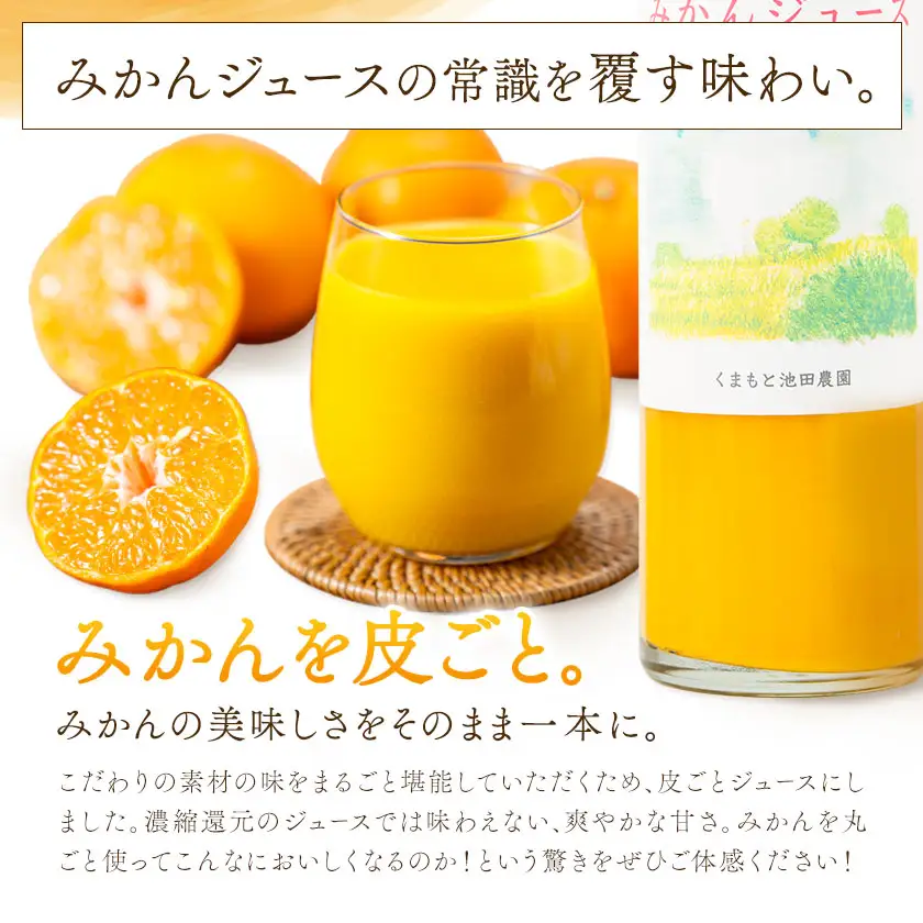 池田農園のみかんジュース 3本 1本500ml 池田農園《30日以内に出荷予定(土日祝除く)》熊本県 玉名郡 玉東町 みかんジュース みかん ミカン ジュース 自然栽培 栽培期間中農薬・肥料不使用