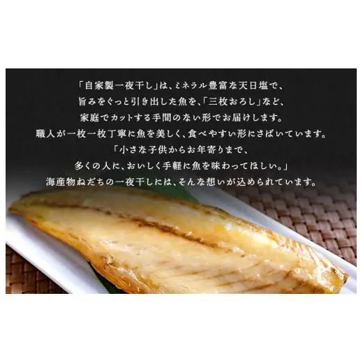 本造り銀鮭(5切)と自家製一夜干し3種セット（計11点）