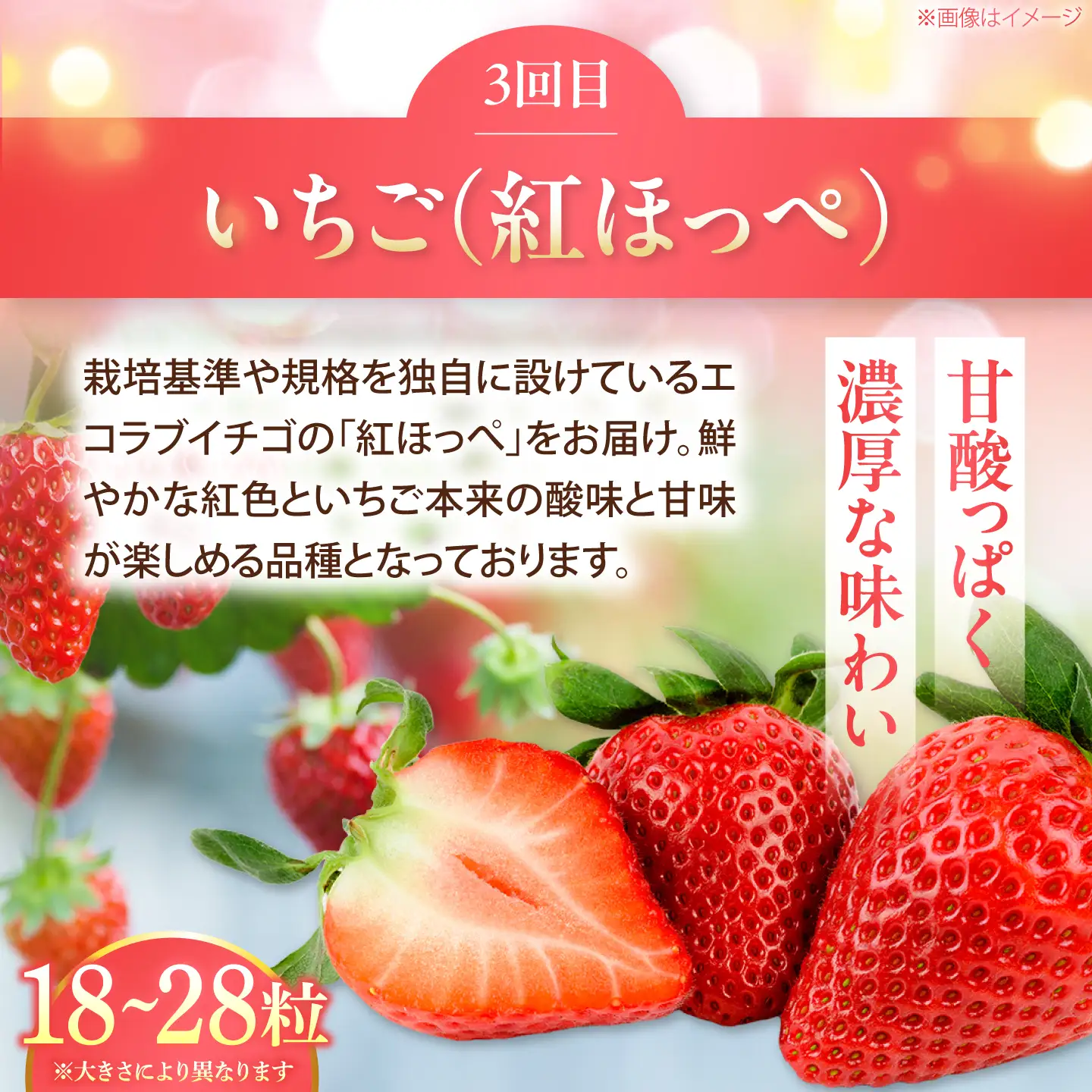 【3回定期便】ぶどう・柿・いちご 旬のフルーツ定期便【北海道・沖縄配送不可】 BKAY034