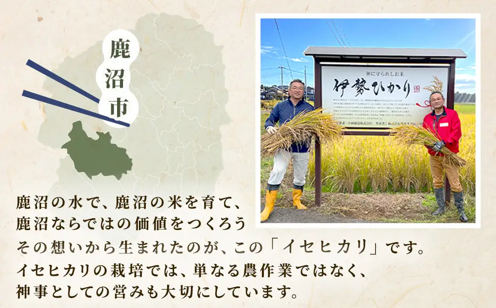 令和7年度産 伊勢ひかり 精米2kg | 白米 栃木 鹿沼市直送