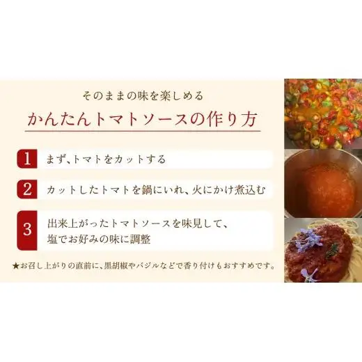 【8月下旬発送開始】 ミニトマト 約 230g × 4パック 【 あめつち農園 】 [BP001tu]