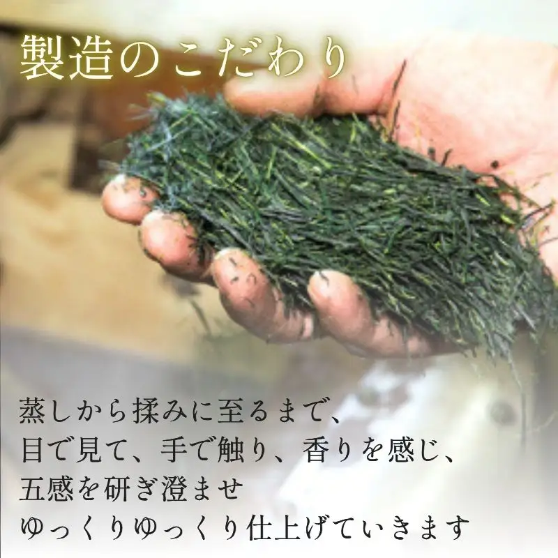 京都 最高傑作玉露 【 屋敷の茶 】8g×30袋入 玉露