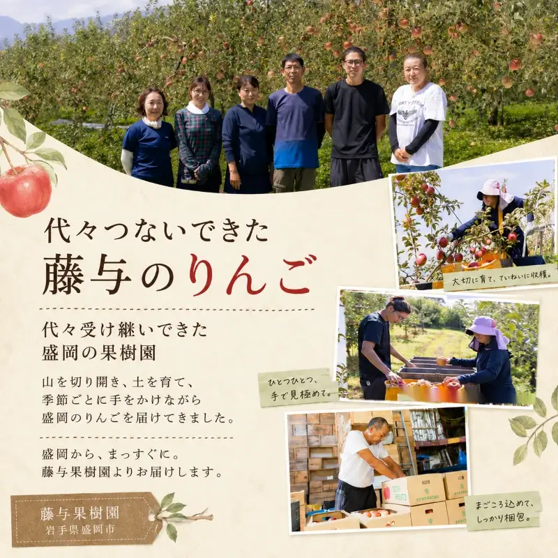 【2月発送】訳ありサンふじ10kg りんご 藤与果樹園 サンふじ fujiyo003t