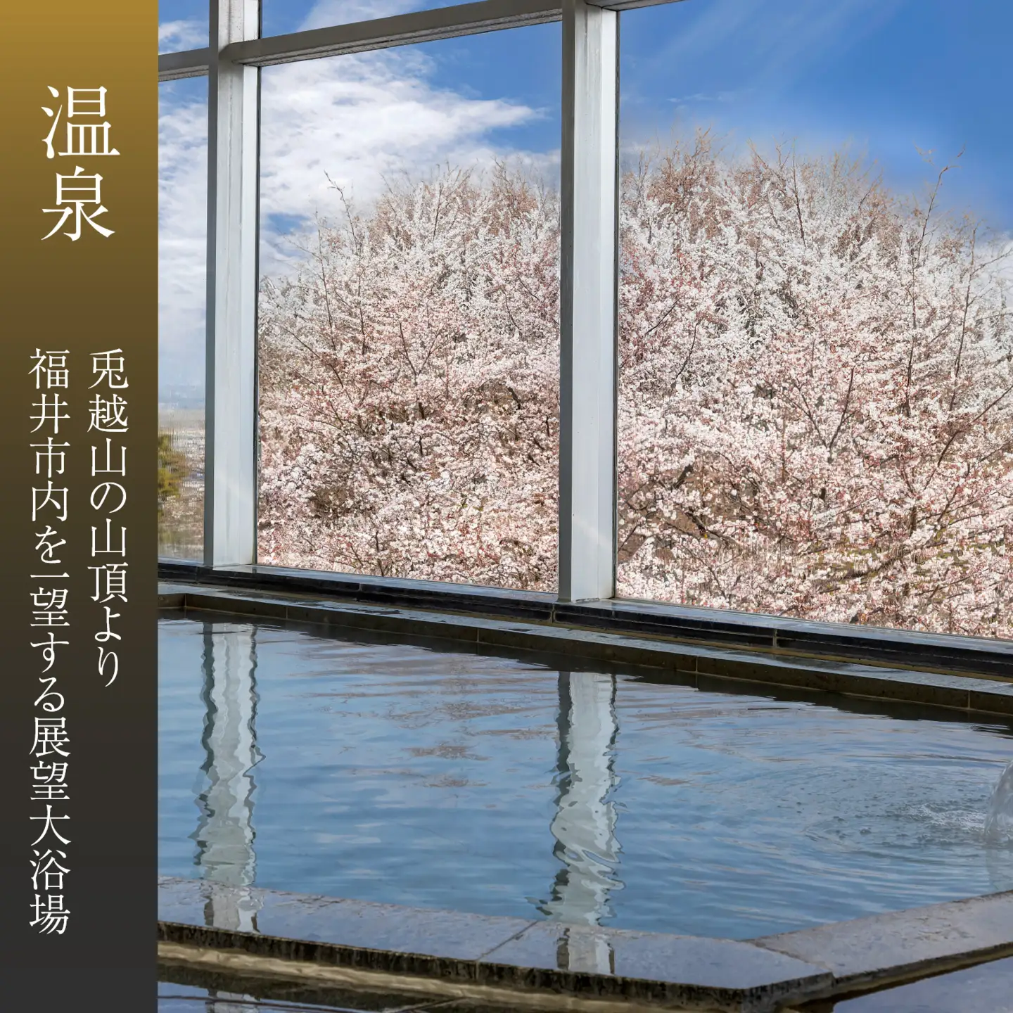 亀の井ホテル福井 平日限定！宿泊利用券　ペア1泊宿泊券 [J-213004] | 宿泊