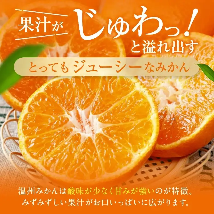 熊本県産 温州みかん 約5kg | 果物 フルーツ くだもの みかん ミカン 温州ミカン 熊本県 玉名市 味采市場
