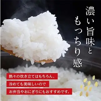 FK7-0274_【5カ月定期】【嘉島町産】くまさんの輝き 10kg 米 お米 コメ ごはん ご飯 食品 九州 熊本県 熊本 嘉島