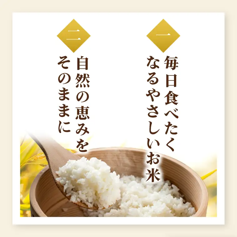 【数量限定】【令和7年産】茨城県産こしひかり 10kg×1袋（茨城県共通返礼品/城里町）【お米 ごはん コシヒカリ おいしい 白米 茨城県産 水戸市】（IH-123）