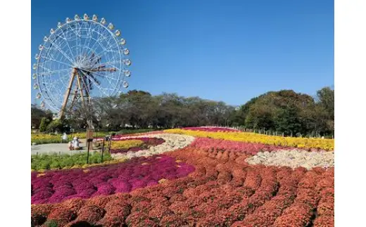 東武動物公園 入場券 ペア 2枚 セット