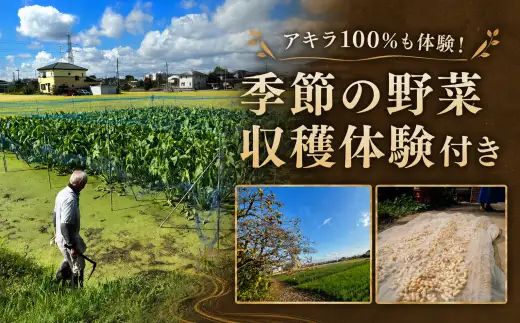 宿泊 一棟貸し古民家宿「奈味」宿泊チケット1泊4名分