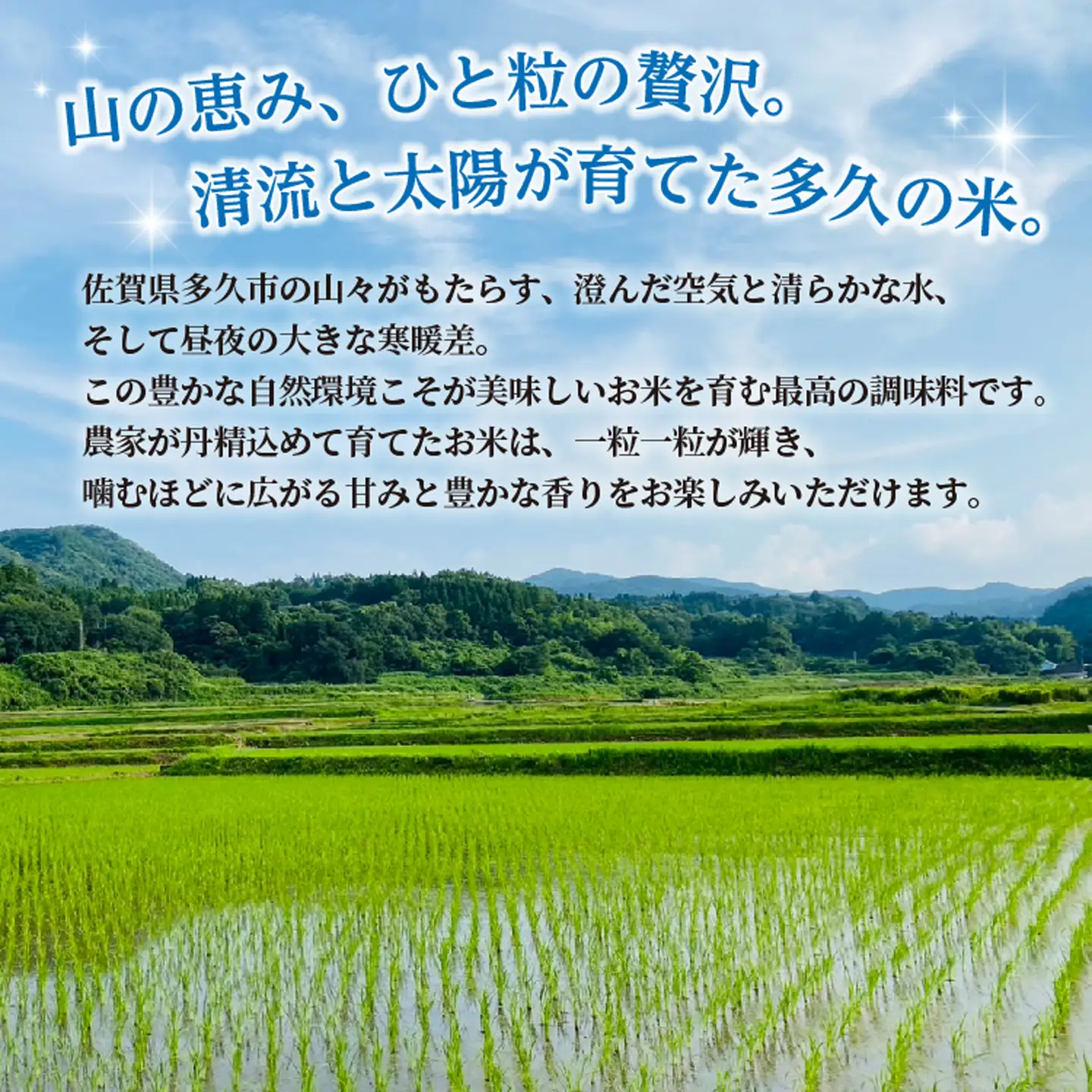 【令和8年産 新米 予約】夢しずく 精米 10kg（5kg×2袋）佐賀県産 白米 _c-126