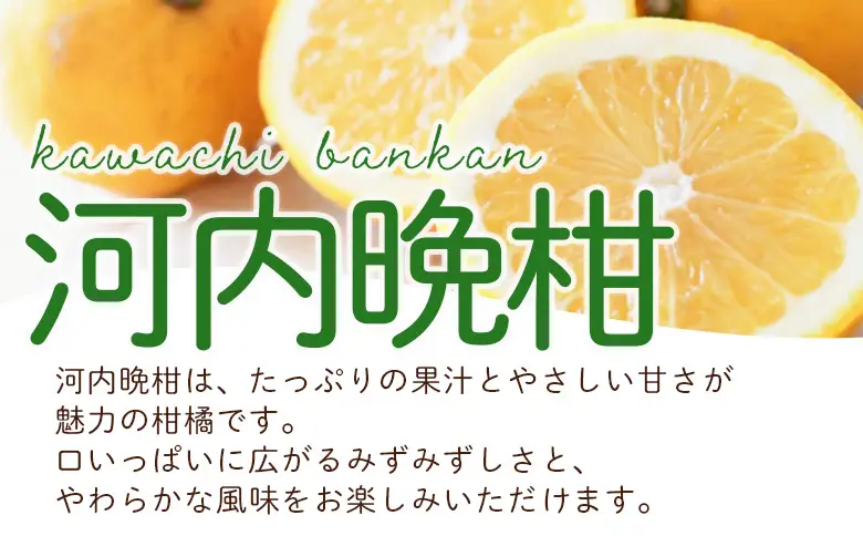 ＜愛媛県西予市産 さわやか柑橘セット 合計約5kg＞『5月～6月中旬頃迄に順次出荷予定』甘夏 河内晩柑 あまなつ ばんかん 果物 フルーツ みかん ミカン 蜜柑 食べ比べ 詰合せ 甘酸っぱい かんきつ 柑橘 特産品 夕焼け山農園 愛媛県 西予市 【常温】AYN0014