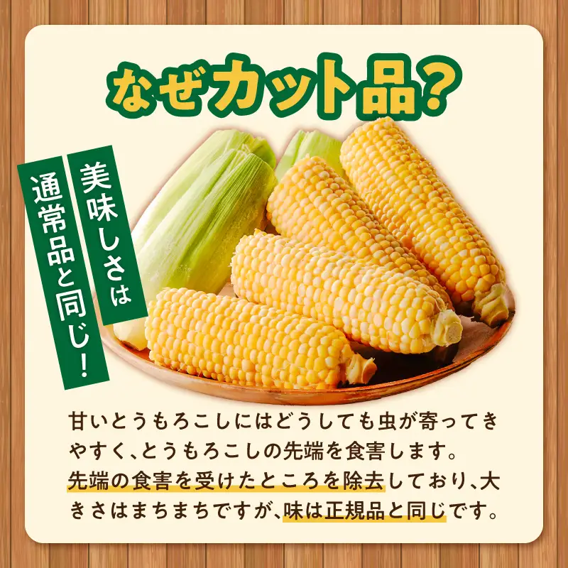 冷凍便！旬の時期に冷凍したSDGs米糠堆肥で作った博多あまっコーンカット品 2kg以上（5～10本） 〔Gv051-01〕