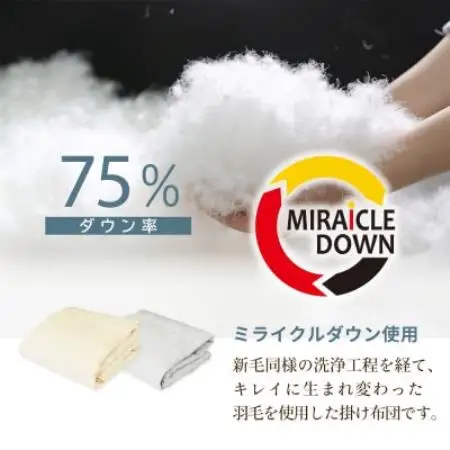 羽毛掛け布団 セミダブル 170×210cm 0.25kg リサイクル羽毛 75% アイボリー 無地【1739820】