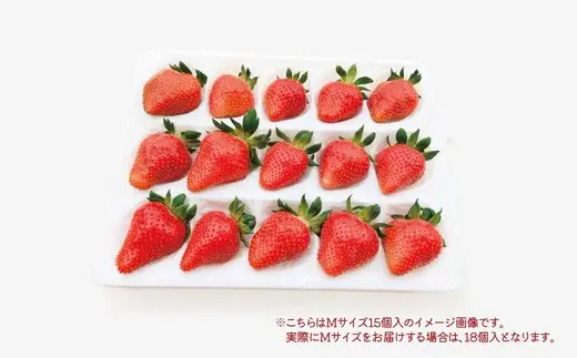 完熟で香り高い！秋田のイチゴ 2パック ＜揺りかごパック＞　 90P3403【ひない渡辺農園しどけ村】