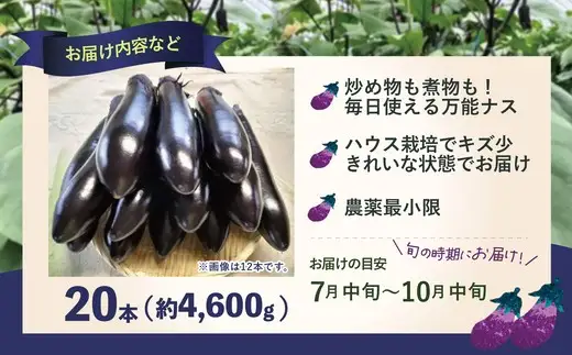 ナス 黒光りする太くて長い！20本　【80P3207】