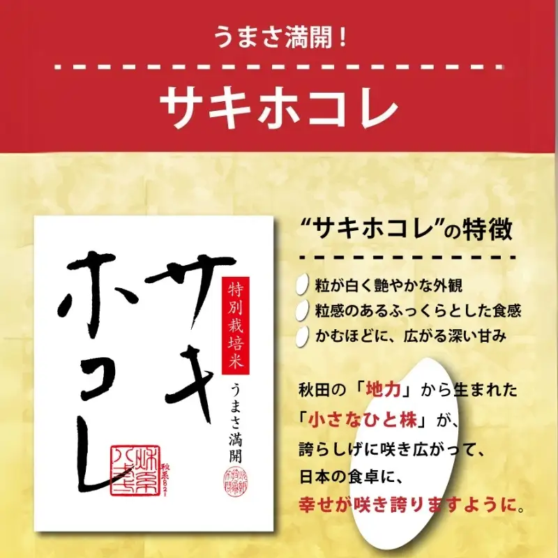 【新米予約】定期便9か月 サキホコレ 無洗米 5kg サキホコレ