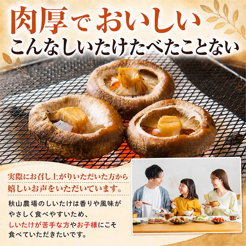 【先行予約】生しいたけ Lサイズ 約500g 秋山農場 しいたけ
