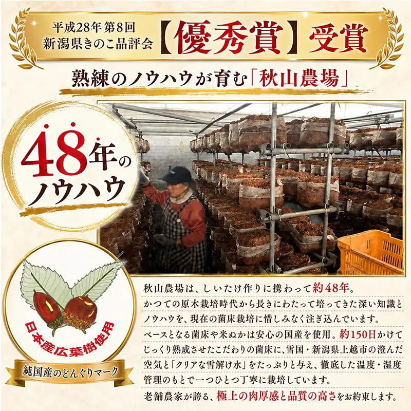 干し椎茸 干しキクラゲ 1セット 秋山農場 干し椎茸