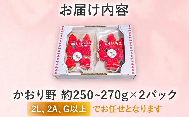 いちご   農家直送完熟いちご かおり野 2パック 【2027年2月上旬～4月末頃に順次発送】 いちご  