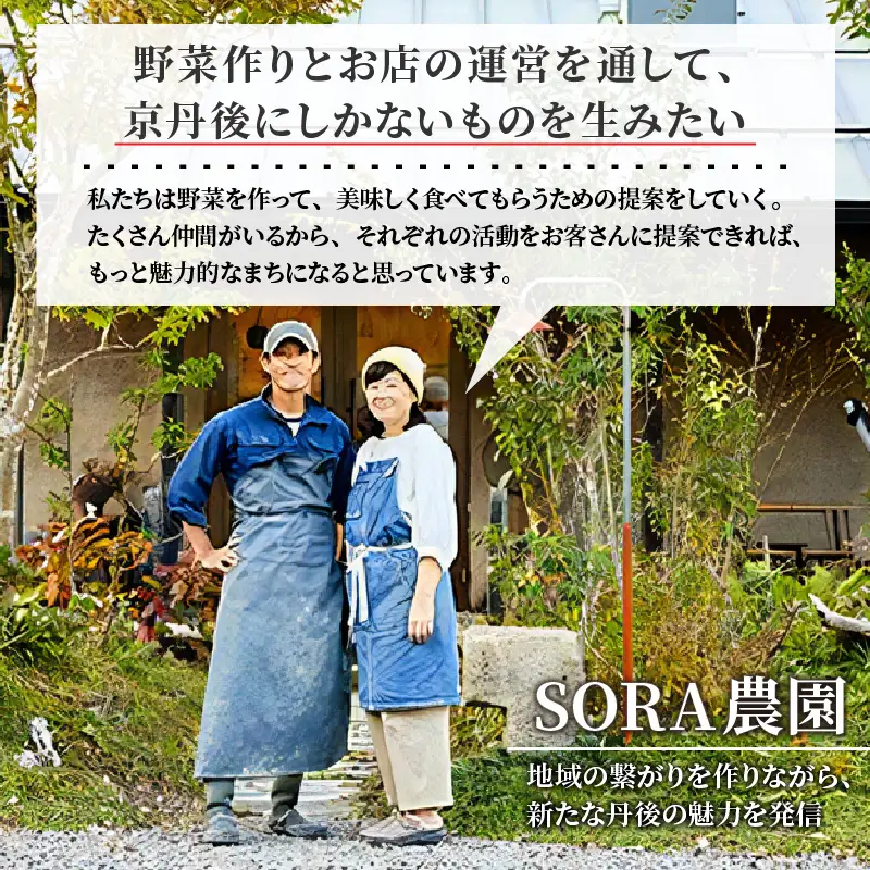 【先行予約11月下旬～】有機にんじん5kg オーガニック野菜 人参｜にんじん