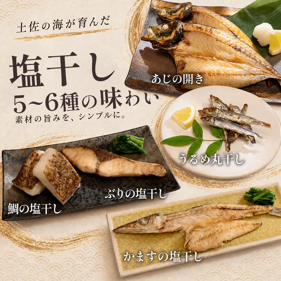 干物セット 5-6品 土佐の朝ごはん 干物 冷凍 個包装 焼き魚 ご飯のお供 5-6人前 母の日 父の日 ギフト 贈答 贈り物 御祝 内祝 お取り寄せ プレゼント お中元 お歳暮 旬 海産物 高知県 大月町産 国産 未来鮮魚株式会社 大月海産 産地直送