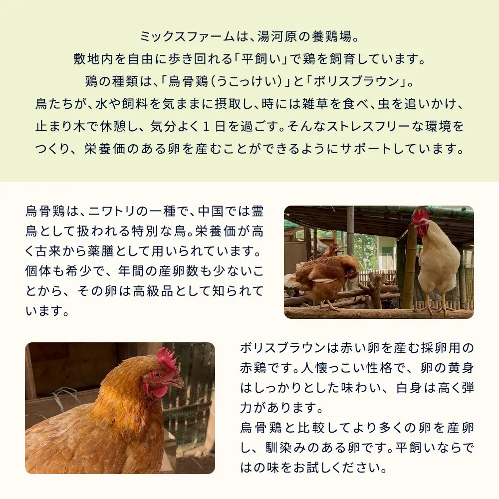 平飼い赤たまご16個 | 湯河原町 ミックスファーム 赤たまご こだわり飼育 朝食