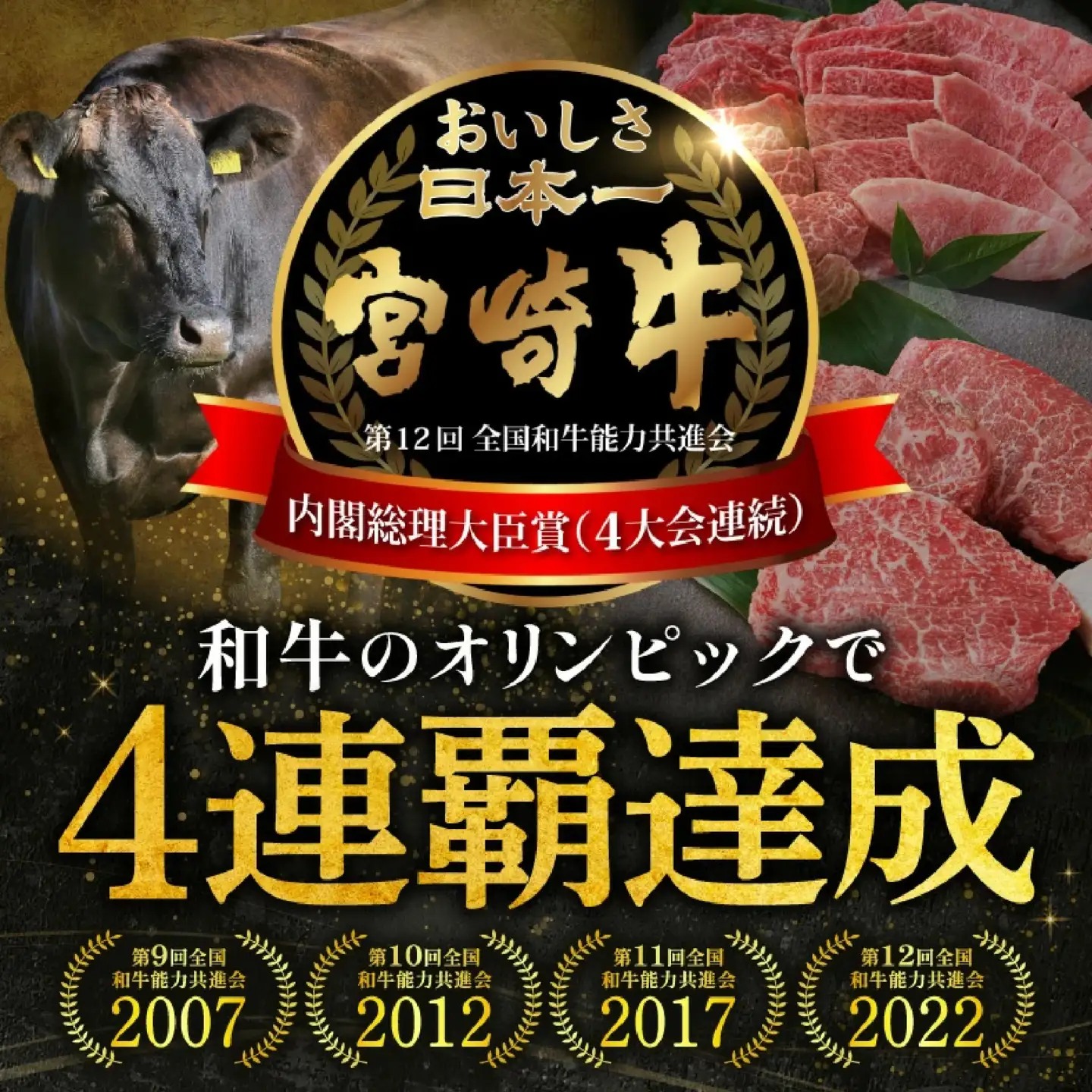 宮崎牛 焼肉 モモ・バラ500g 焼肉