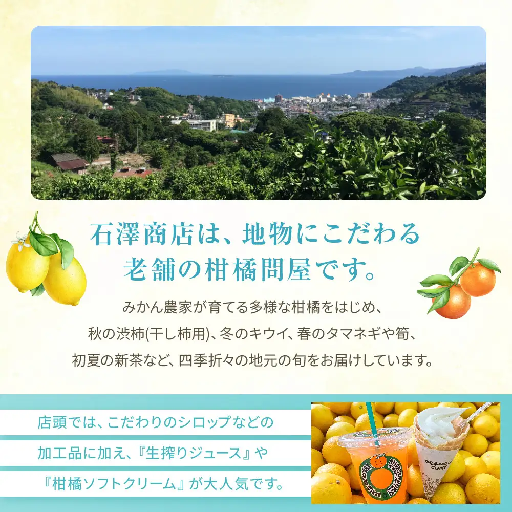 檸檬シロップ　520ml | 湯河原町 湘南 柑橘 レモン シロップ 手作り フルーツ アレンジ