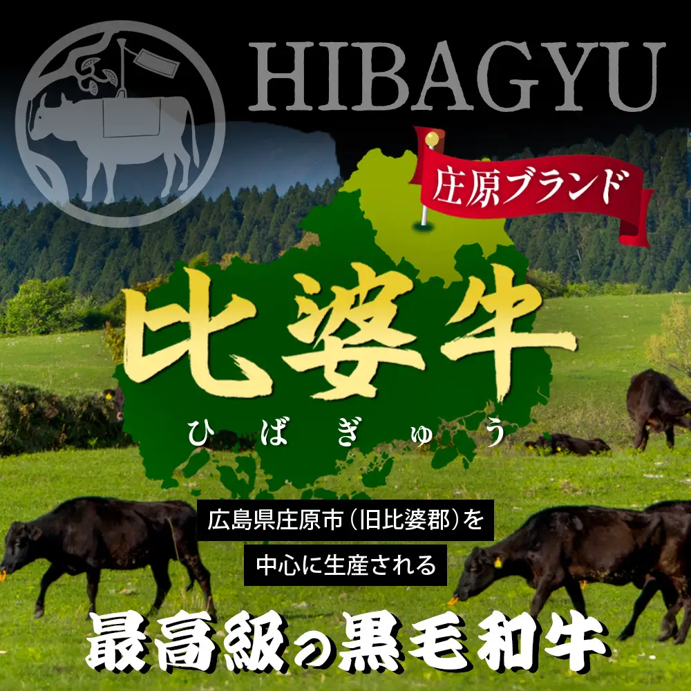 【比婆牛】A5～A4ランク ロースステーキ 600g(200g×3枚) | 牛肉 黒毛和牛 ブランド牛 ステーキ
