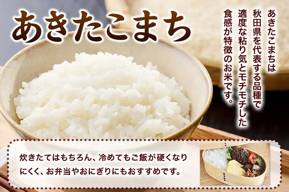 【定期便2ヶ月】 あきたこまち ＜令和8年産 新米受付＞ 白米 10kg（5kg×2袋） 鈴木農産