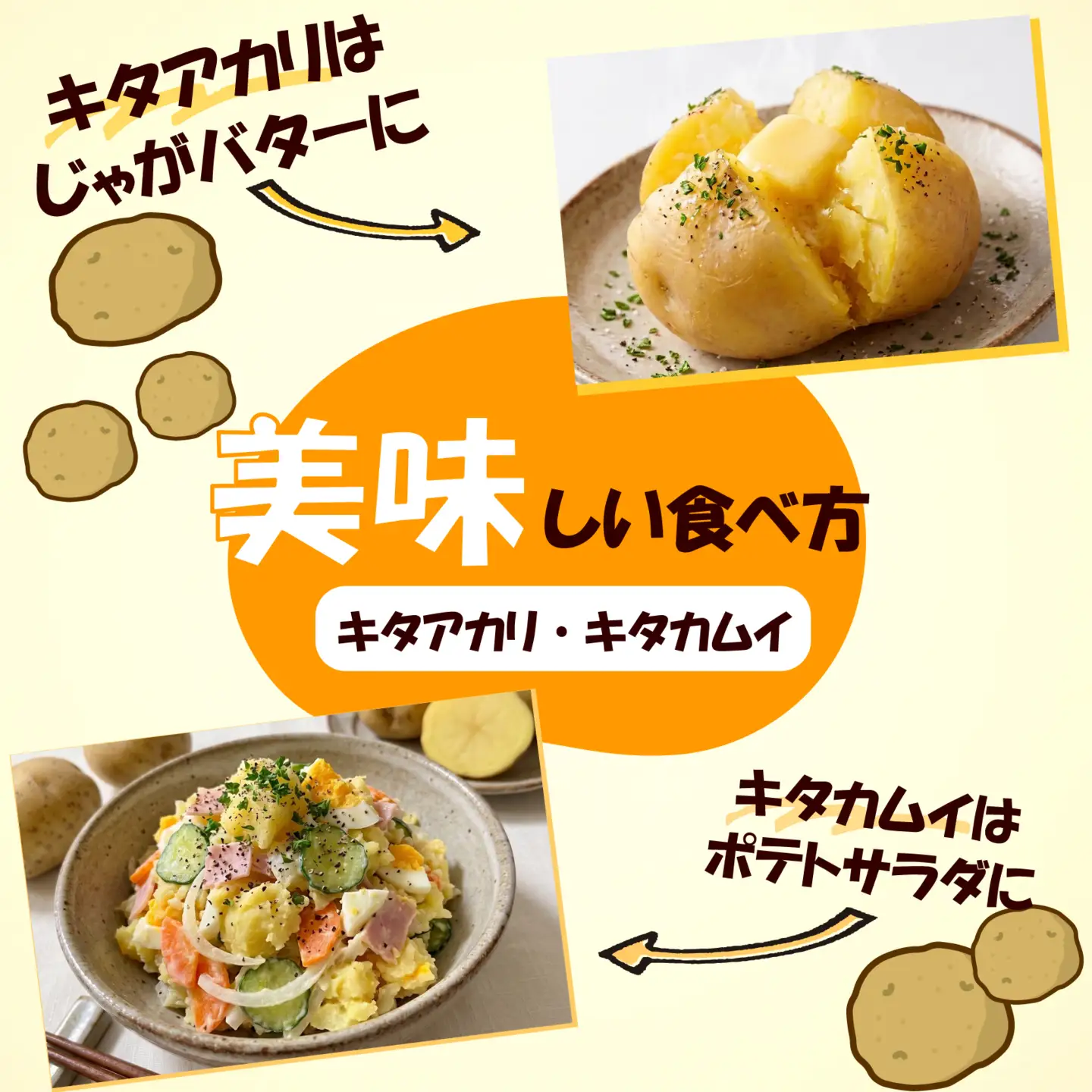 【先行予約2026年7月上旬より順次発送】 馬鈴薯 4種 約5kg じゃがいも 馬鈴薯 メークイン キタアカリ キタカムイ グランドペチカ みしまコロッケ