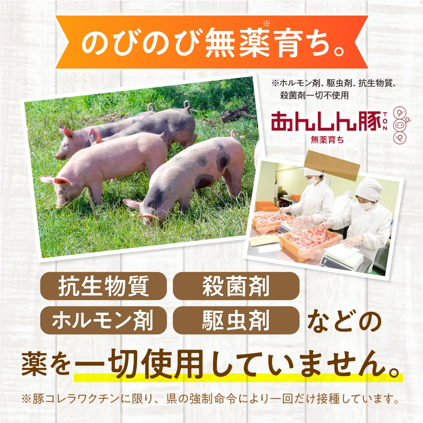 豚肉 こま切れ 計840g《バラ凍結》藤井ファーム[AWAF086]豚こま