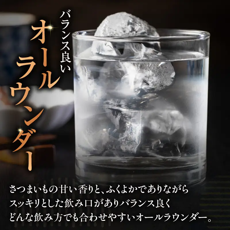 極の黒 芋焼酎 25度 1800ml×2本 K377-012_01 焼酎 お酒 酒