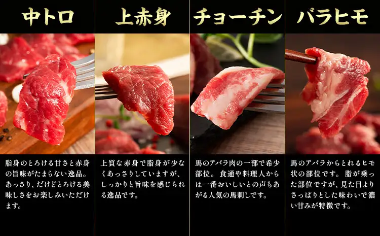 馬肉 フジチクオリジナル 希少部位 と 贅沢な ふじ馬刺し 厳選 セット 亀井通産株式会社《30日以内に出荷予定(土日祝除く)》 熊本県 菊池市 肉 馬肉 メン 大トロ 中トロ ヒレ シャトーブリアン ロース ランプ 上赤身 ふじ馬刺し セット 食べ比べ
