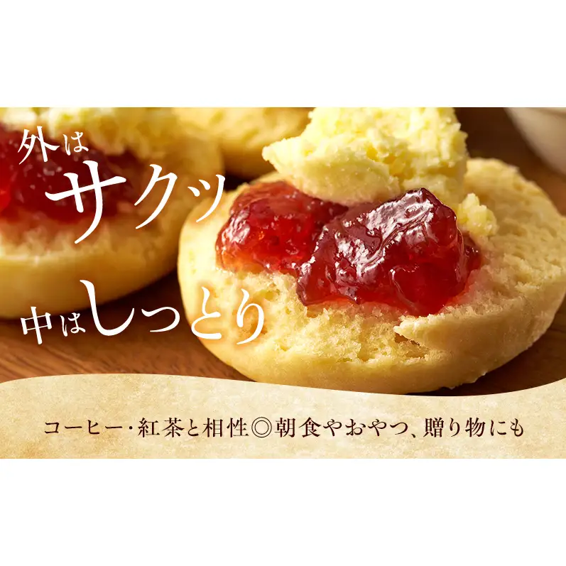 スコーン詰合せ カシューナッツレーズンココア＆チョコ スコーン詰合せ【12個入】
