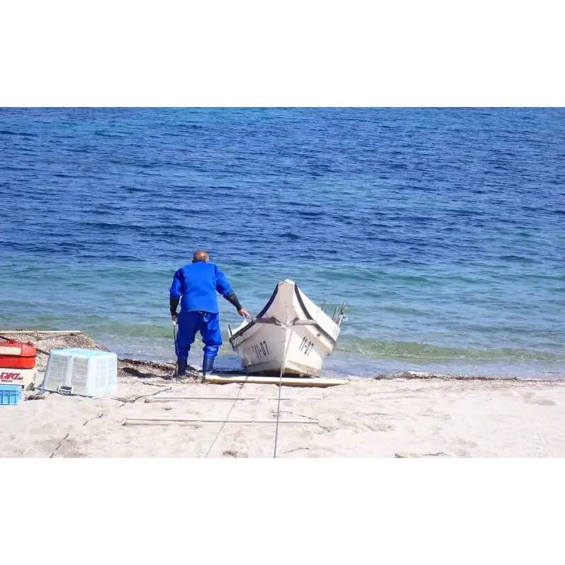 北海道 礼文島産 寒岩のり 3枚入×3パック［れぶんちゅら工房］【 海苔 岩海苔 海藻手作り 磯の香り ご飯のお供 ラーメン 味噌汁 】
