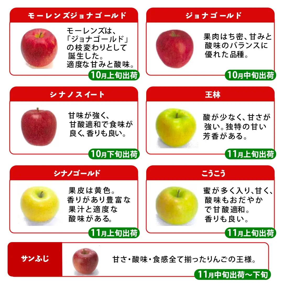 【ご家庭用】りんご 品種おまかせ 2種Mix 5kg (FH002) りんご