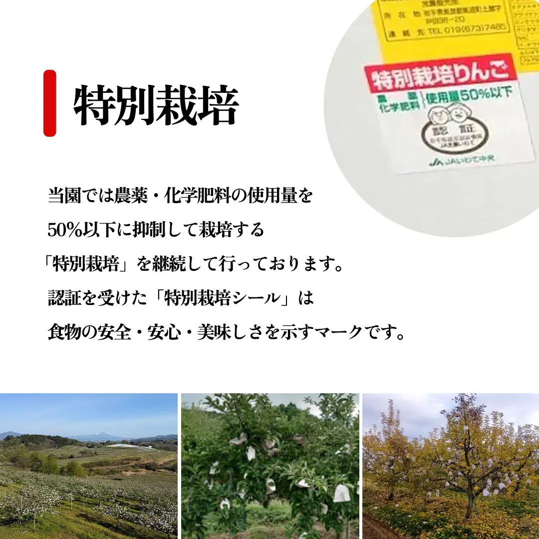 【ご家庭用】りんご はるか 約3kg (FH003) りんご