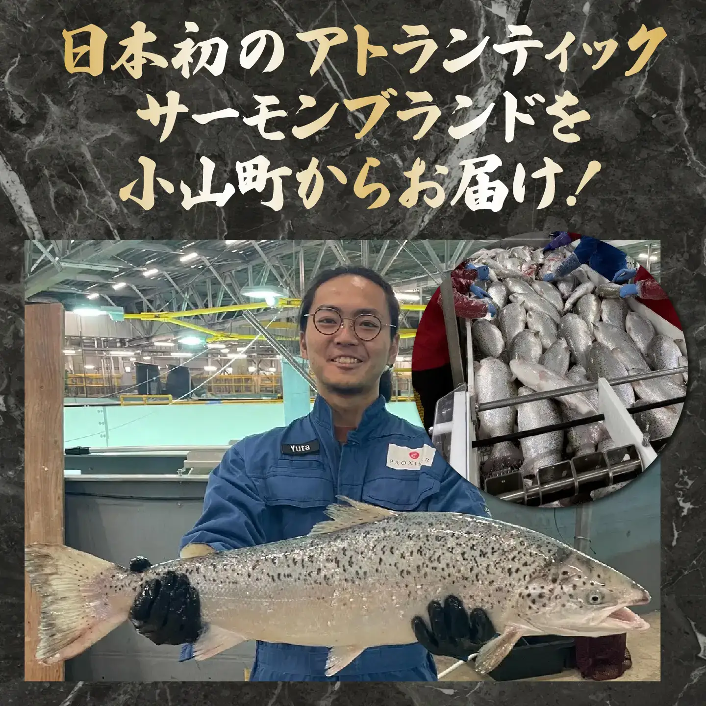 西京漬け 4P 国産サーモン西京漬け