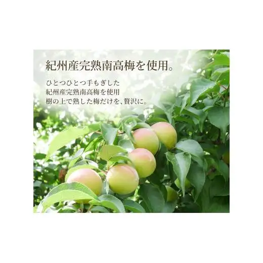 N387　３年熟成　幻の梅酒　熊野伝説７２０ｍｌ【黒】