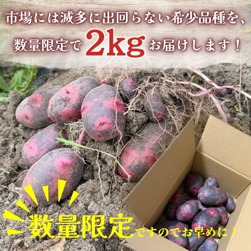 じゃがいも デストロイヤー 2kg